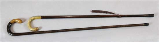 Two hardwood walking sticks with horn handles